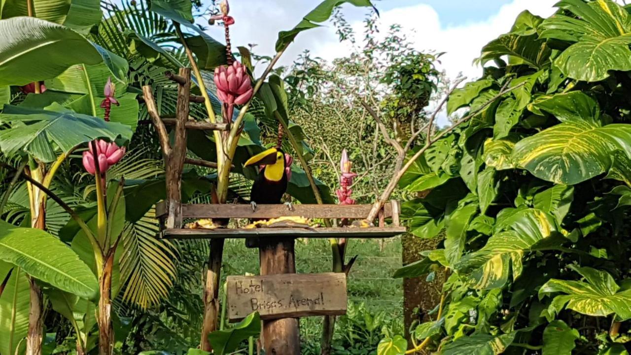 Hotel Brisas Arenal La Fortuna Esterno foto